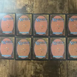 Beta Swamp X10 LEB MTG Magic The Gathering Dan Fraizer Signed Auto - Image 2