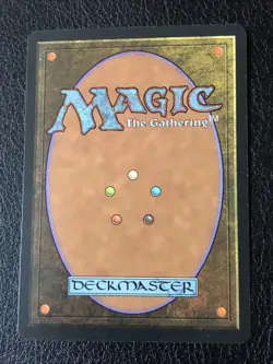 Warmth X1 Tempest NM Condition See Front/back Pics MTG - Image 2