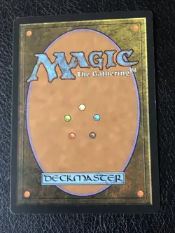 Warmth X1 Tempest NM Condition See Front/back Pics MTG - Image 2
