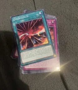 Yu-Gi-Oh Deck Branded Despia Fusion Deck Tournament Ready Near Mint - Image 2