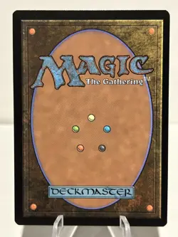 Polluted Cistern // Dim Oubliette 23 R Commander: Duskmourn NM MTG - Image 2