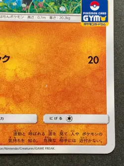 Pokemon card Riolu 315/SM-P Promo 2019 Pocket Monster Nintendo Japanese Rare - Image 4