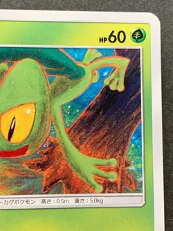 Pokemon card Treecko 003/050 C 2018 Komiya Pokemon TCG Japanese Common Nintendo - Image 3