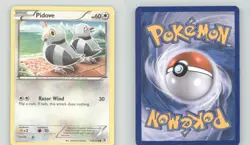 PIDOVE 123/149 COMMON BOUNDARIES CROSSED POKEMON LIGHTLY PLAYED - Image 1