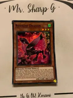 ROXROSE DRAGON - 1st EDITION LIOV-EN009 ENGLISH Yu-Gi-Oh! CARD HOLO KONAMI 2021* - Image 3