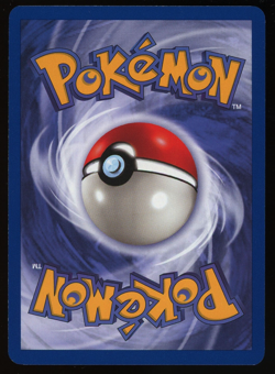 Pokemon 2000 1st Ed Team Rocket - Dark Golbat - Rare - 24 - Image 2