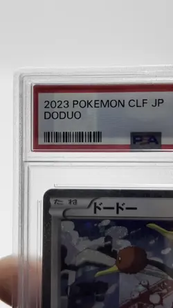 Graded Doduo (013/032) - Reverse Holofoil Pokemon - Japanese - PSA 10 - GEM MT - Image 2