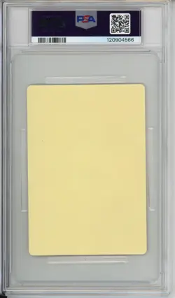 Umbreon - 2025 Pokemon Matsuzakaya - Stamp Rally Stickers - Japanese - PSA10 - Image 2