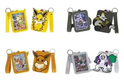 Pokemon TCG S-Chinese Nine Colors Gathering Eevee Card Display Frame Gift Box - Image 5