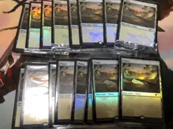 Mtg Magic Fest Foil Promo Land Set 16 Pieces - Image 1