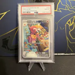 Pokemon Crocalor Sv02 Paldea Evolved 202/193 Illustration Rare Holo PSA 8 2023 - Image 1