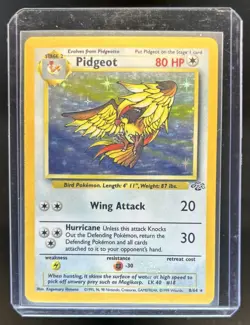 1999 Pokemon Jungle Pidgeot #8/64 - Image 1