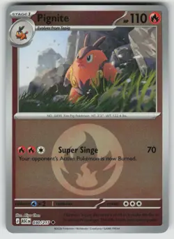 Pignite (Energy Symbol Pattern) 030/217 Ascended Heroes Pokemon Reverse Holo NM - Image 1