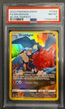 POKEMON CARD DRUDDIGON 09 SILVER TEMPEST FULL ART #TG09 GRADED PSA 8 TG09 #09 - Image 1