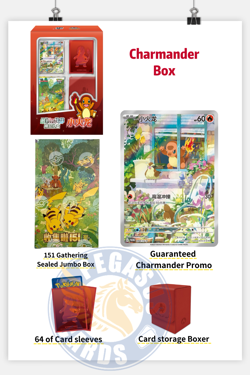 [In Stock in the UK] Chinese Pokemon TCG The First Partner Gift Box Vol.2 - Image 5