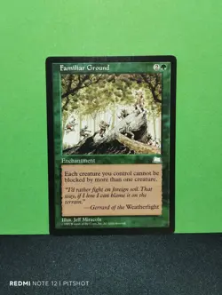 Familiar Ground / Gewohntes Gelande - MTG Magic - Image 1