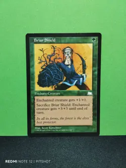 Briar Shield / Dornenschild - MTG Magic - Image 1
