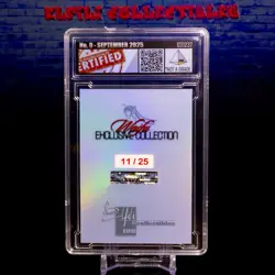 Asuna Waifu Card Serial #11/25 LIMITED RELEASE Encased Custom Holo SLAB SAO - Image 3