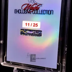 Asuna Waifu Card Serial #11/25 LIMITED RELEASE Encased Custom Holo SLAB SAO - Image 4