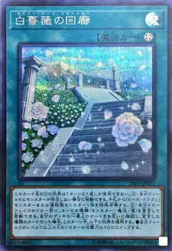 Yugioh Card 20PP-JP011 White Rose Cloister | Secret Japanese - Image 1