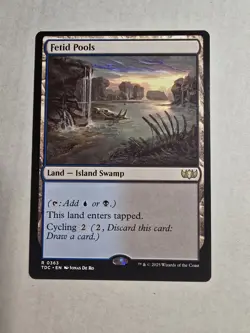 Fetid Pools Commander: Tarkir: Dragonstorm Regular - Image 1