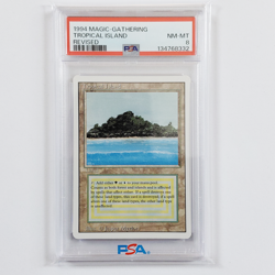 Tropical Island Revised PSA 8 NM Graded | MTG Magic the Gathering - Image 2
