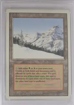 MTG 1994 Taiga Revised PSA 8 Magic The Gathering Dual Land - Image 2