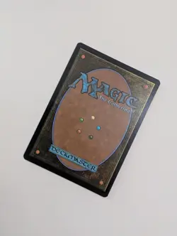 MTG - Feed the Swarm (Foil) - Secrets of Strixhaven: Mystical Archive NM/M Cond - Image 3