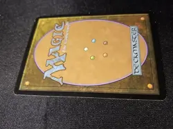 Ponder Lorwyn MP Magic The Gathering Mtg Tcg See Detailed Pictures * - Image 5