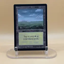 MTG Plains Beta 1993 Black Border Vintage Basic Land Old School LP - Image 1