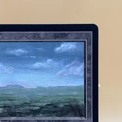 MTG Plains Beta 1993 Black Border Vintage Basic Land Old School LP - Image 2
