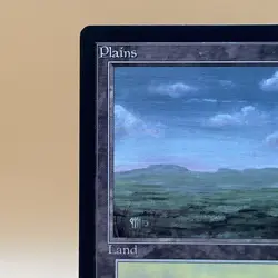 MTG Plains Beta 1993 Black Border Vintage Basic Land Old School LP - Image 3
