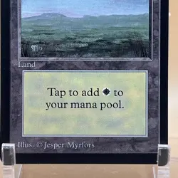 MTG Plains Beta 1993 Black Border Vintage Basic Land Old School LP - Image 4