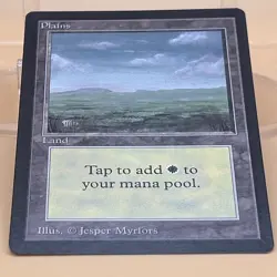 MTG Plains Beta 1993 Black Border Vintage Basic Land Old School LP - Image 5