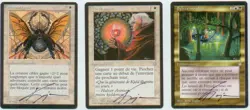 SIGNED MTG Kaja Artist Proof _10x FRENCH ICE AGE - Hydro/Pyroblast, STP, S Link - Image 3