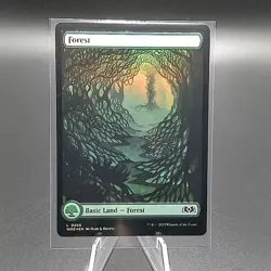 MTG Forest 0266 Wilds of Eldraine Basic Land Showcase Foil Near Mint+ - Image 1