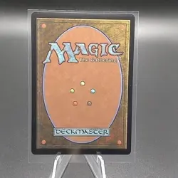 MTG Forest 0266 Wilds of Eldraine Basic Land Showcase Foil Near Mint+ - Image 2