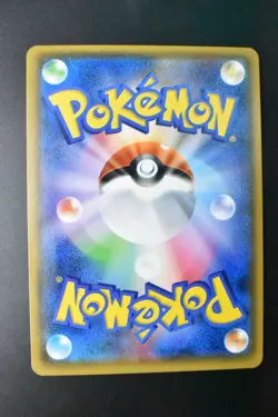 Poncho Wearing Eevee 138/SM-P Eevee Mega Campaign Promo 2017 Pokemon Card - Image 5