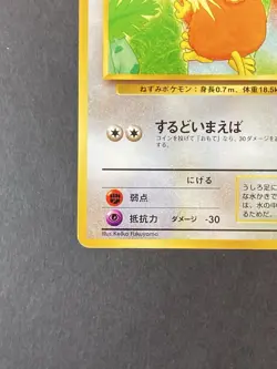 [P336]Raticate No. 020 1999 Southern Islands Japanese Pokemon Card Vintage - Image 4