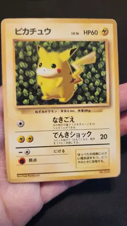 Pokemon Card Ivy Pikachu How To Play Promo Keiji Kinebuchi Japanese ModeratePlay - Image 1