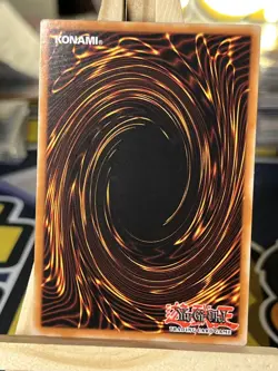 A Feather of the Phoenix FET-EN037 Ultimate Rare 1st Edition Near Mint Yugioh - Image 3