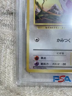 1996 Pokemon Japanese Base Set Rattata #19 PSA 9 MINT Vintage #2500014 - Image 5