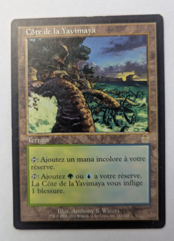 Magic Mtg French Apocalypse Yavimaya Coast lightly played - Image 1