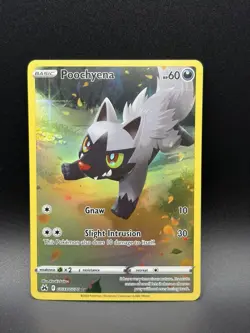 Pokemon Poochyena GG33/GG70 Crown Zenith Galarian Gallery Holo Ultra Rare NM - Image 1