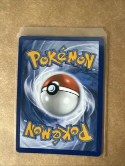 Pokemon Perfect Order Dewgong 019/088 Holo Rare NM - Image 2