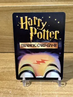 Harry Potter 10/116 Hermione Granger Base Set Holo Foil Trading Card Game 2001 - Image 2