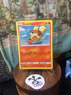 Pokemon TCG - Growlithe (Regular) - Sun & Moon - 21/149 - Common - Image 1