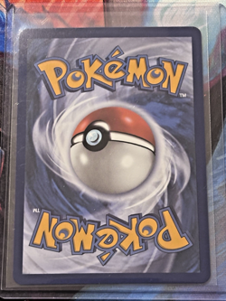 Pokemon TCG (2026) Rowlet Litten Popplio 043, 044, 045 First Partner Promo NM/M - Image 5