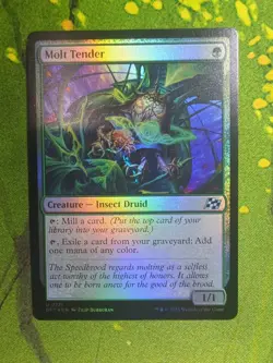 Molt Tender - U - Aetherdrift - 171 - NM - Foil - Image 1