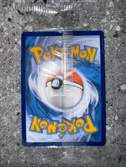 Pokemon TCG Charmander SVP044 Illustration Rare Black Star Promo Holo SEALED - Image 4